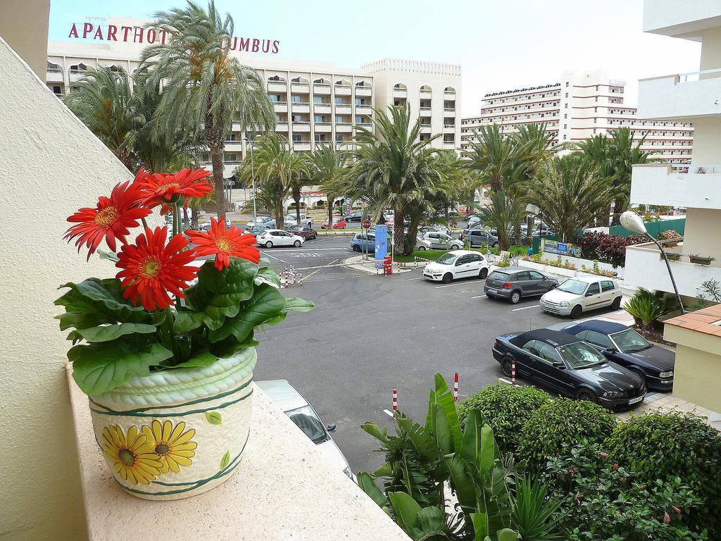 Holiday Apartment Los Tajinastes Playa de las Americas  Bilik gambar